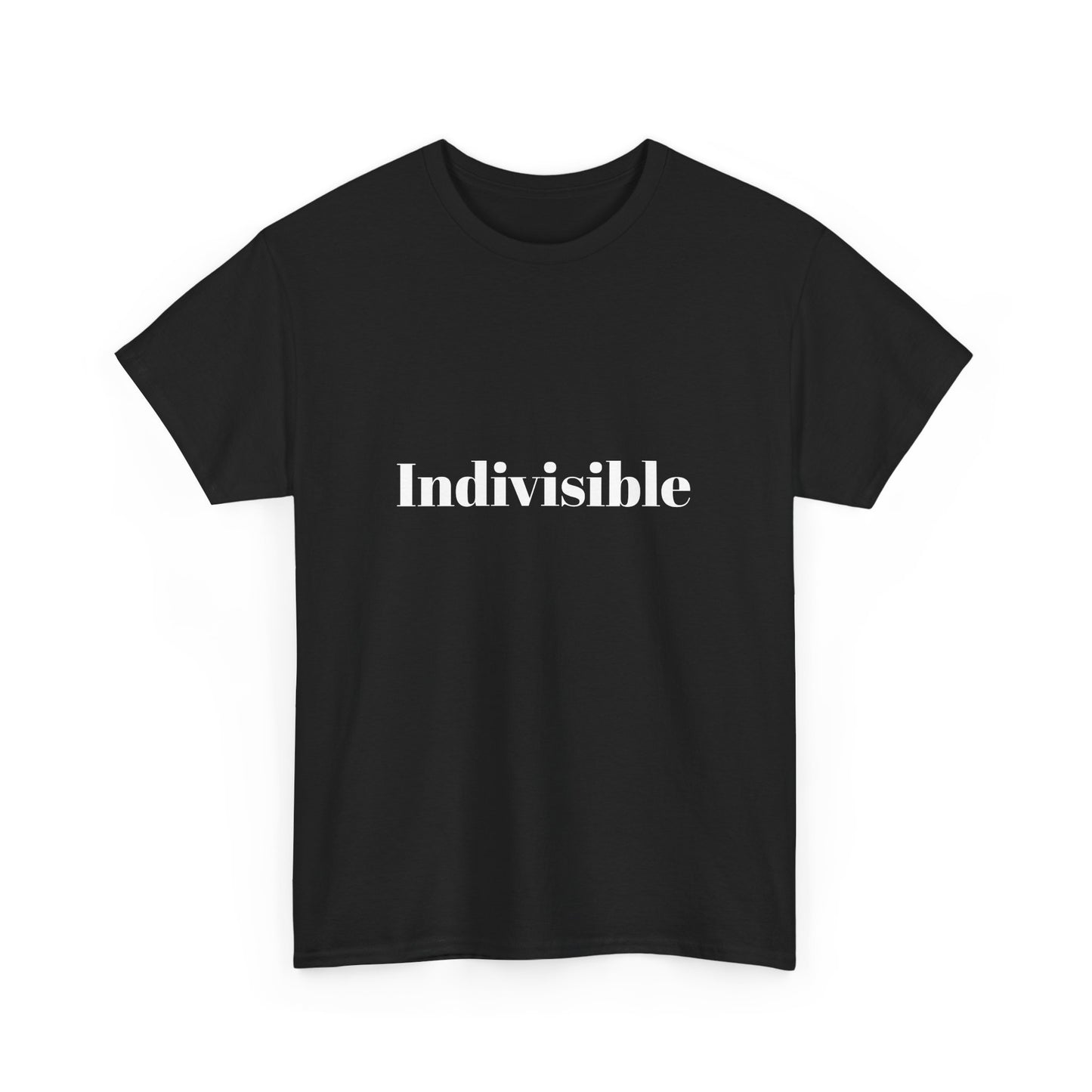 'Indivisible' Tee