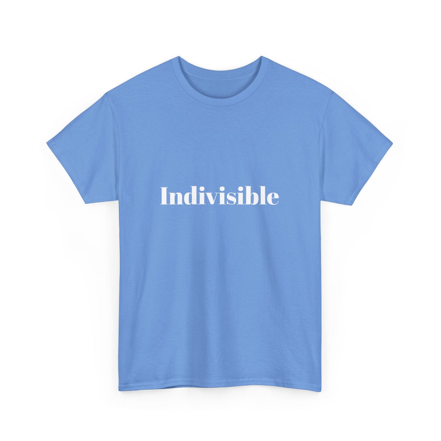 'Indivisible' Tee