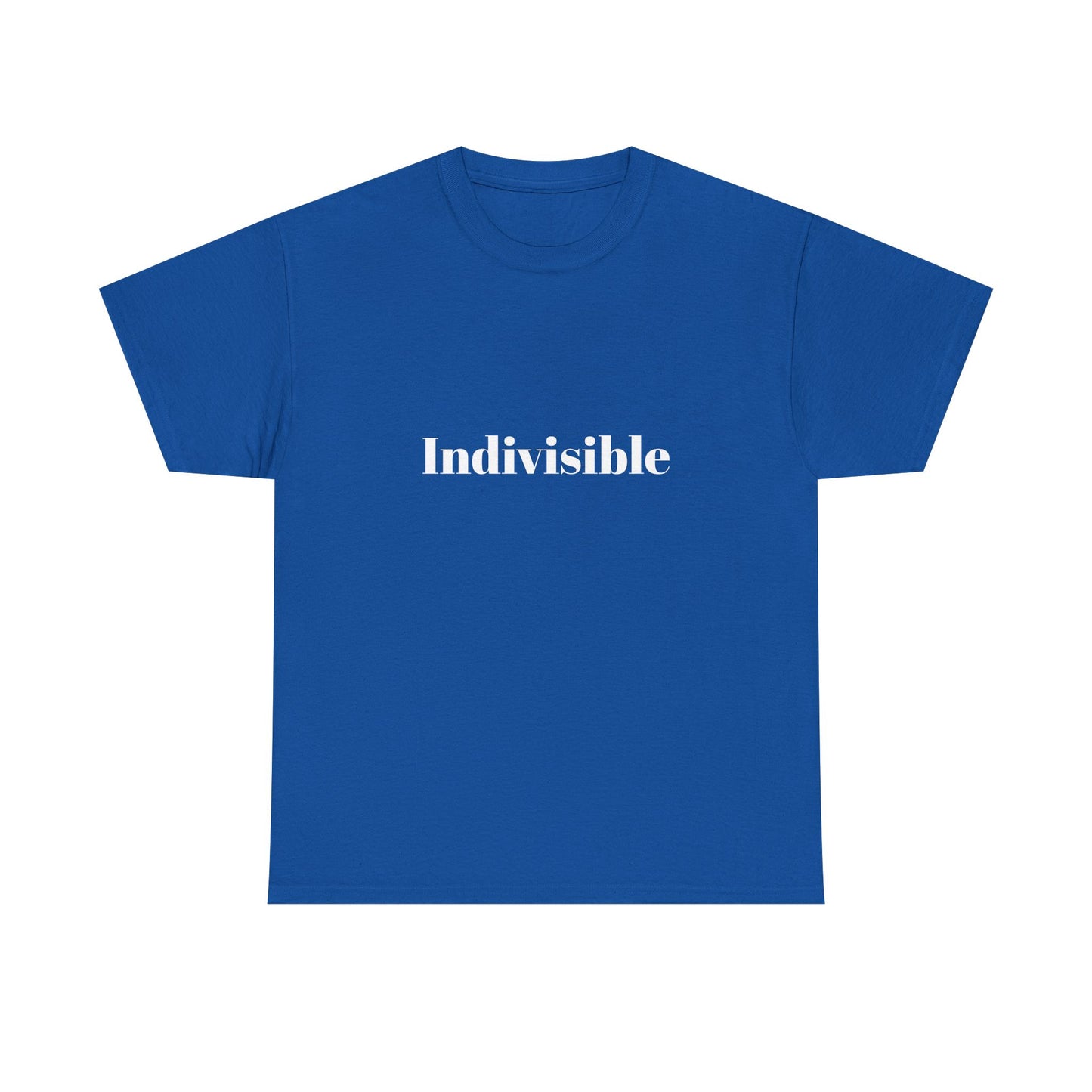 'Indivisible' Tee