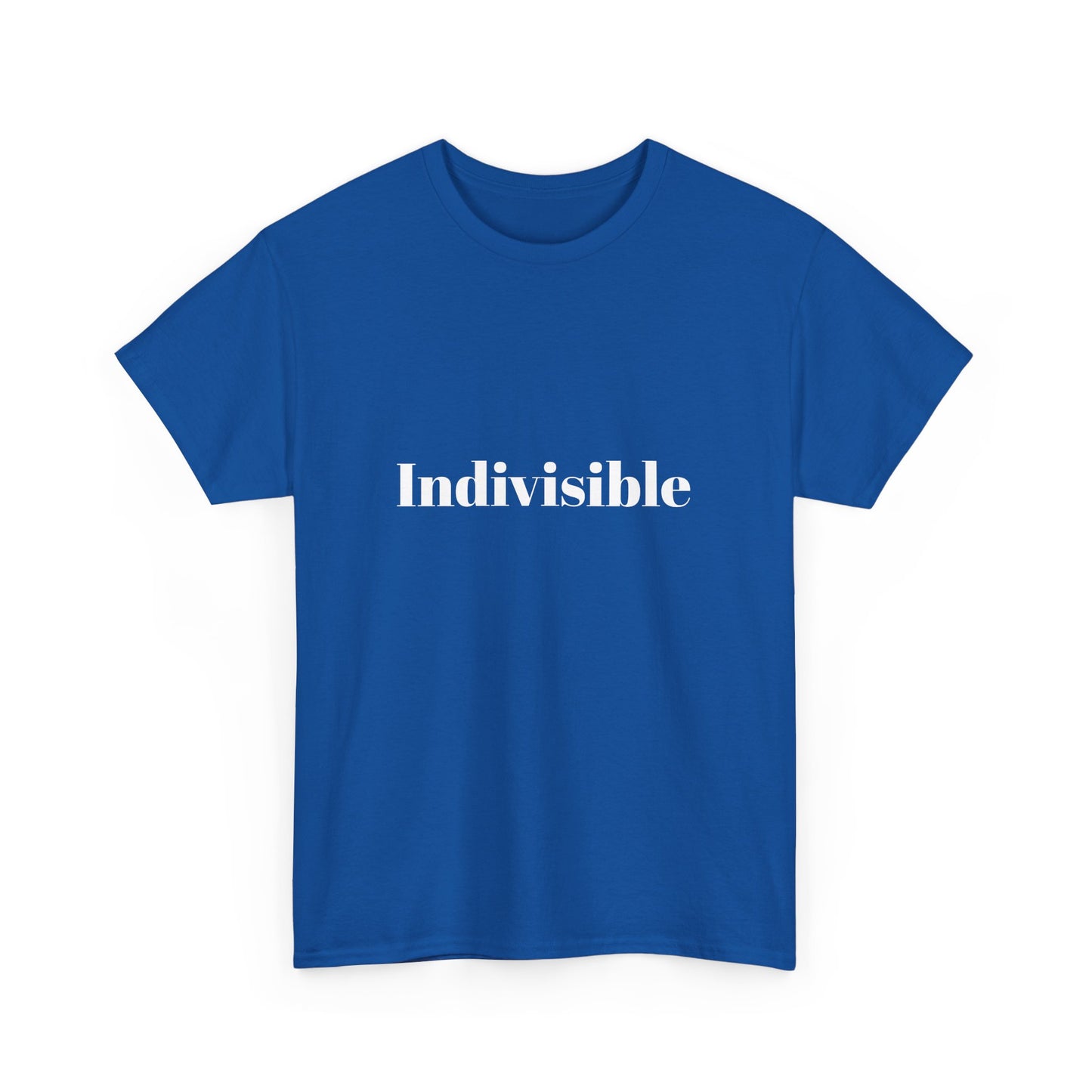 'Indivisible' Tee