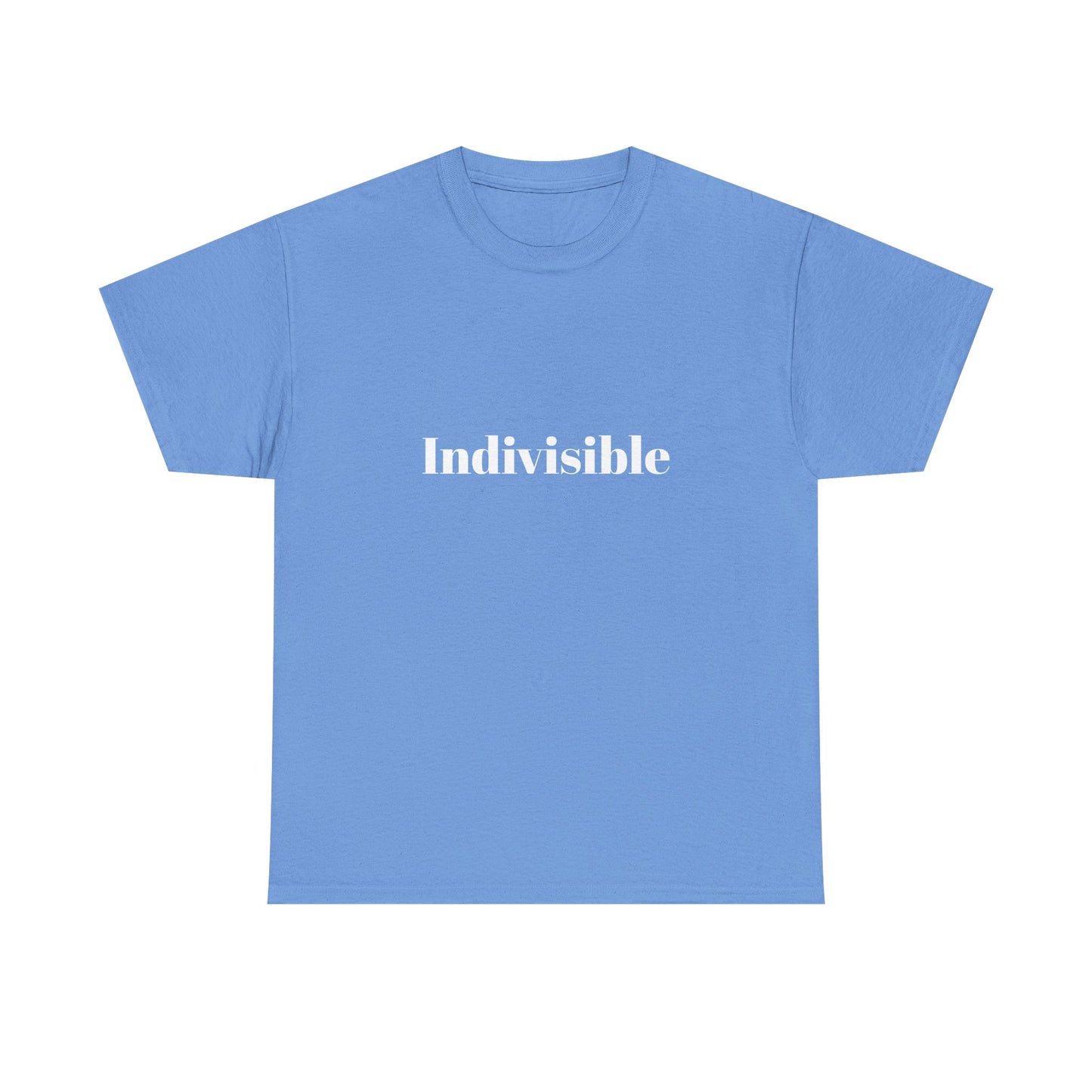 'Indivisible' Tee