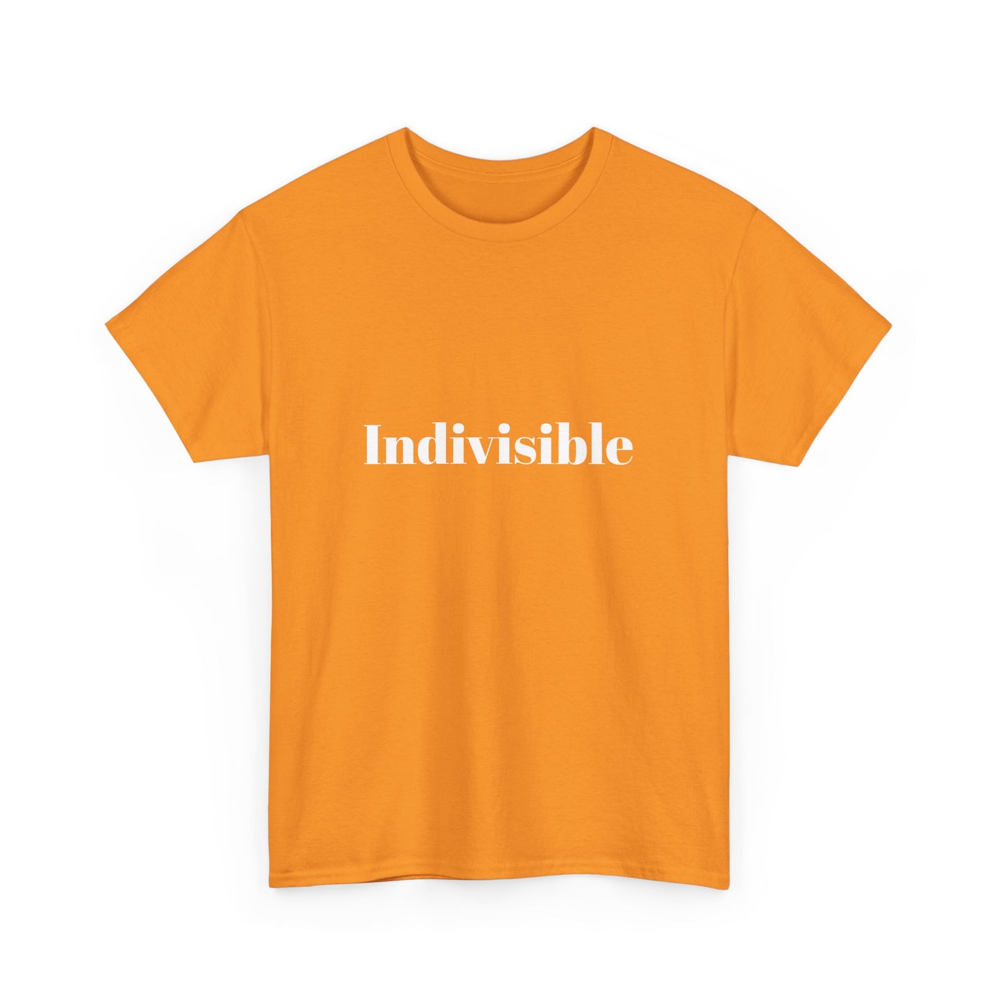'Indivisible' Tee