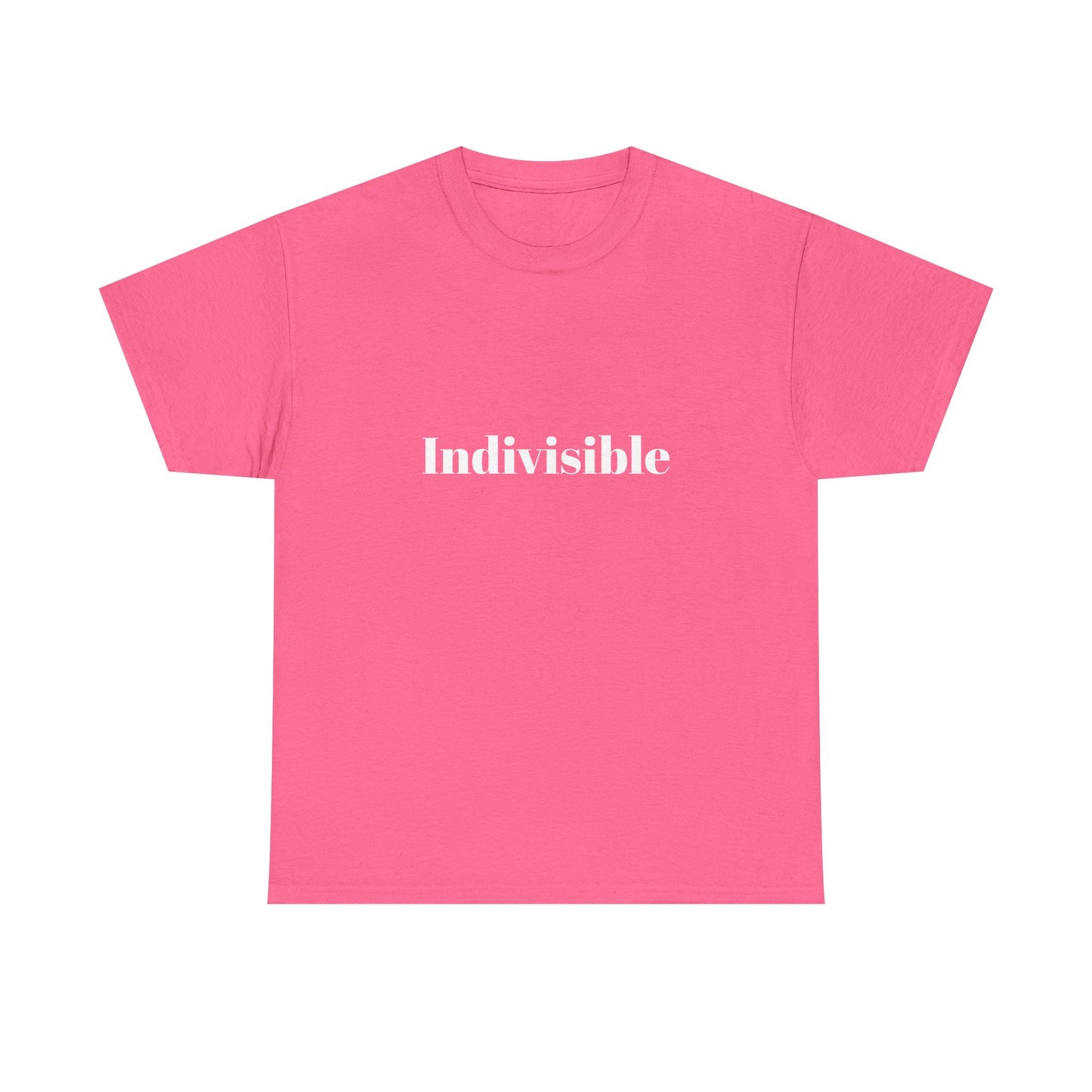 'Indivisible' Tee