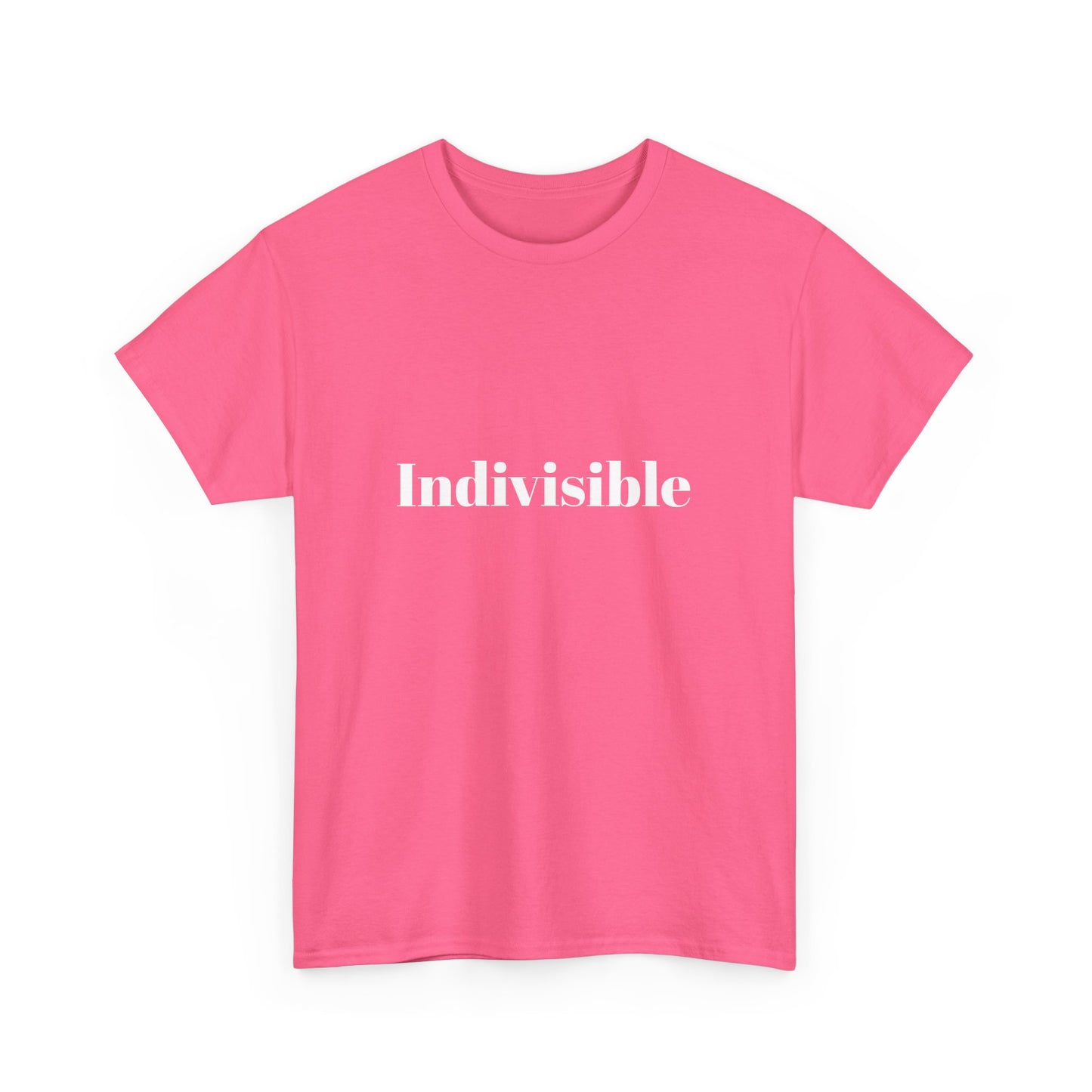 'Indivisible' Tee