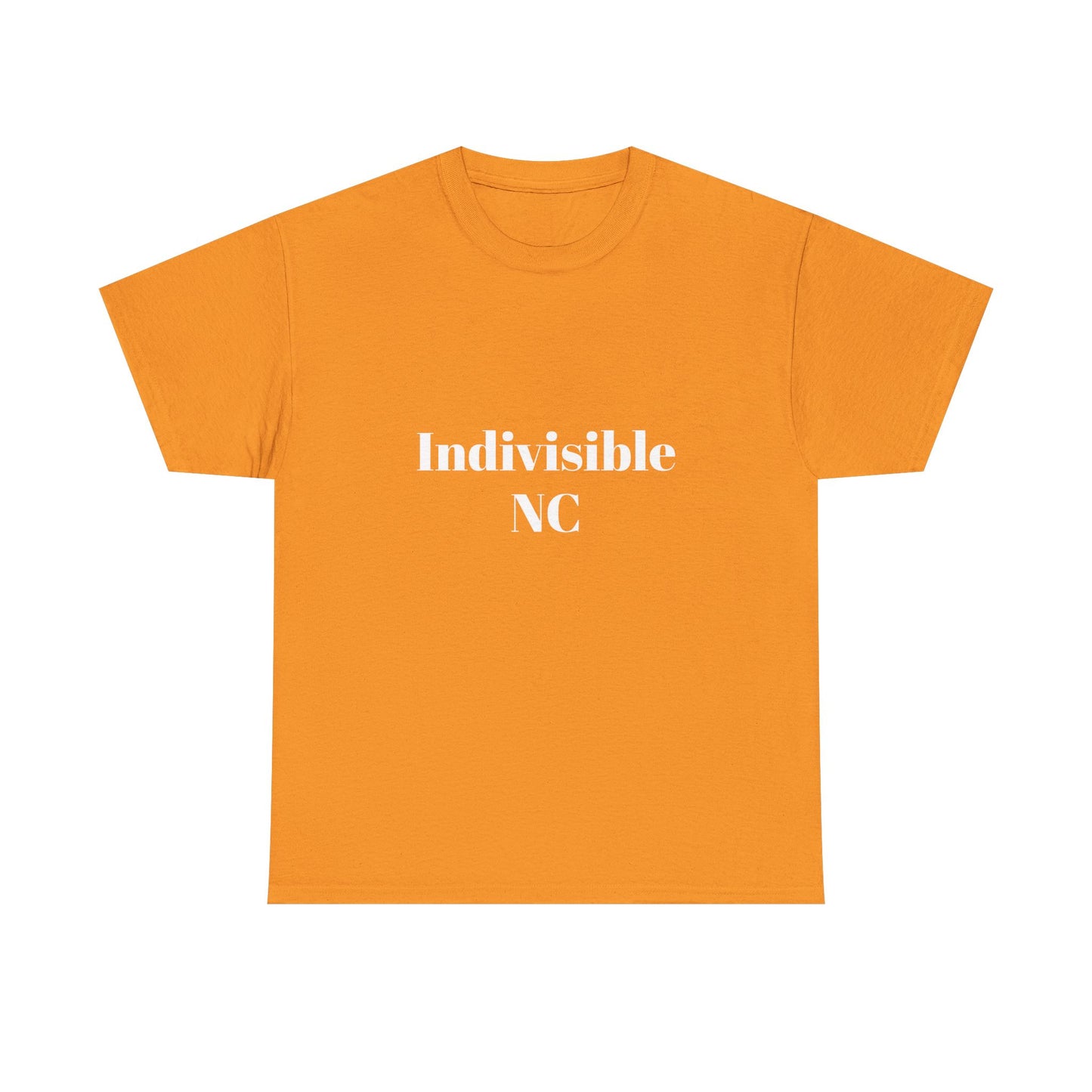 'Indivisible NC' Tee