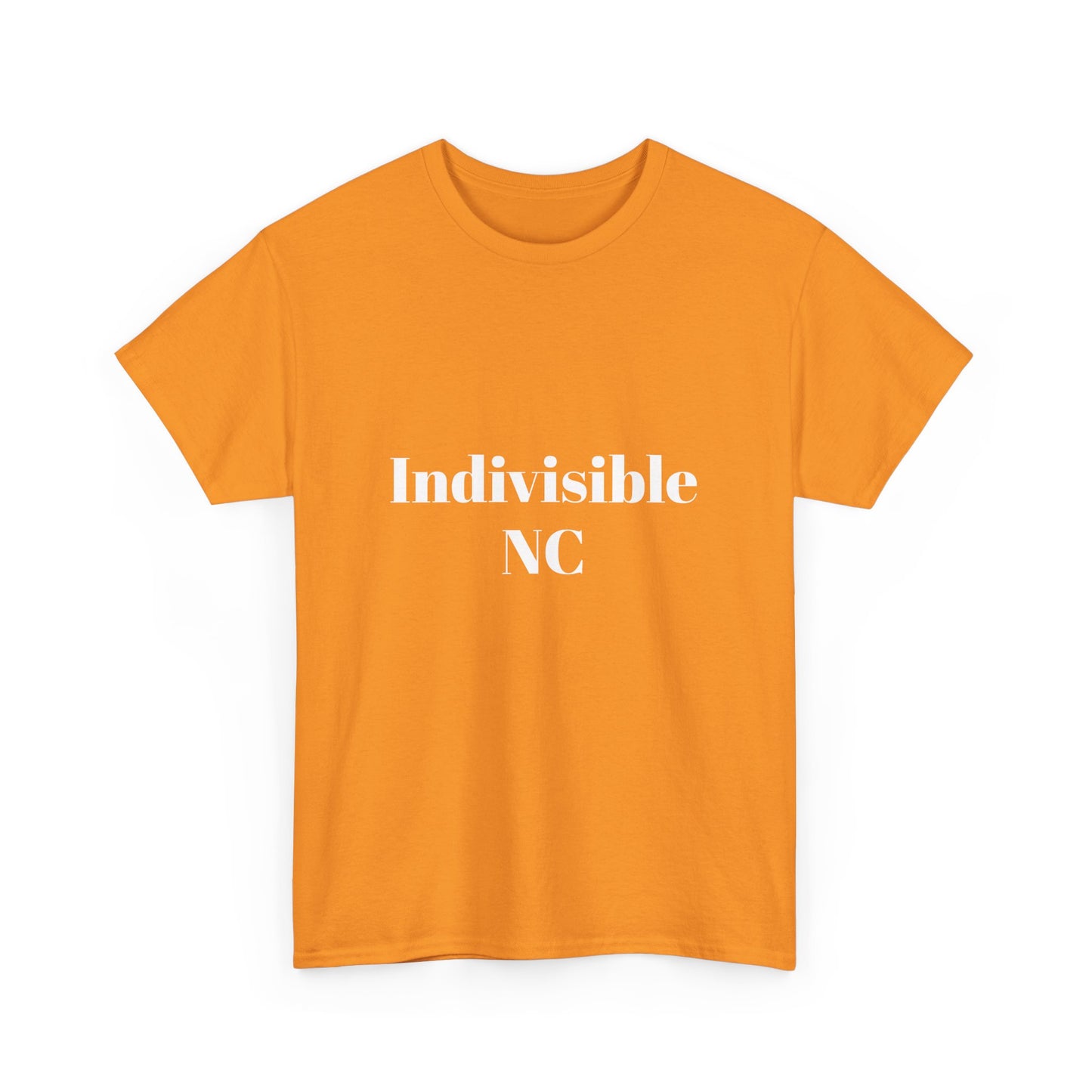 'Indivisible NC' Tee