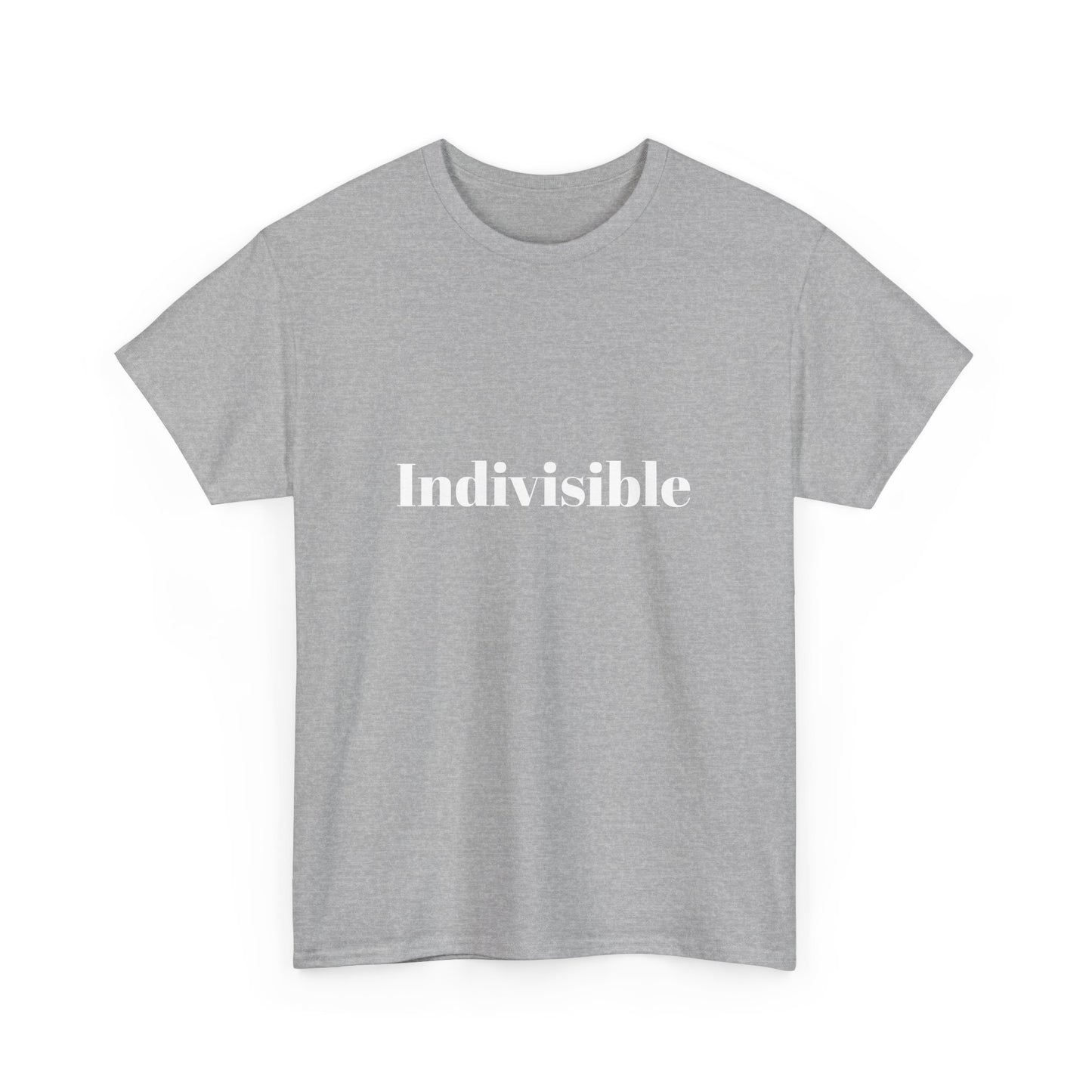 'Indivisible' Tee