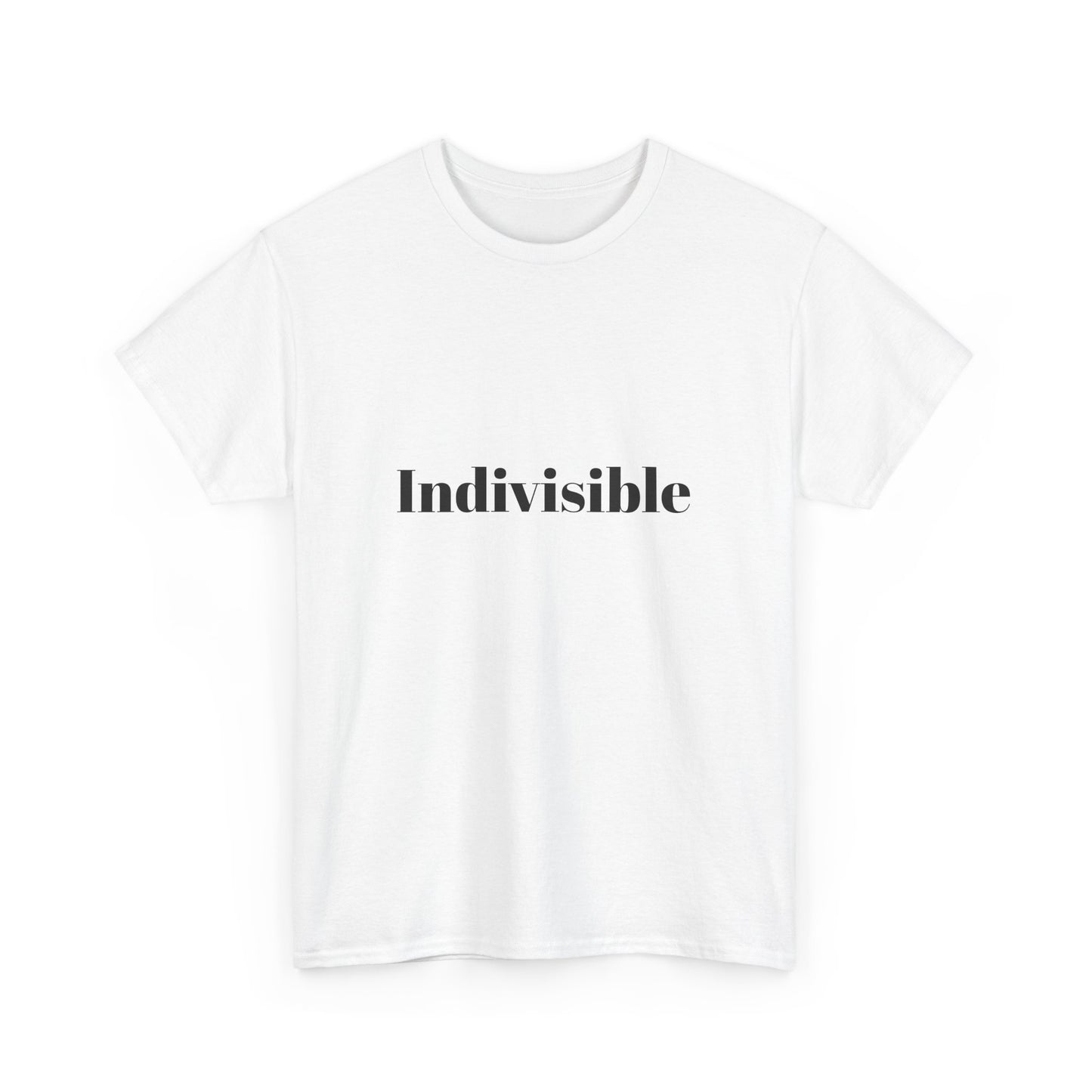 'Indivisible' Tee
